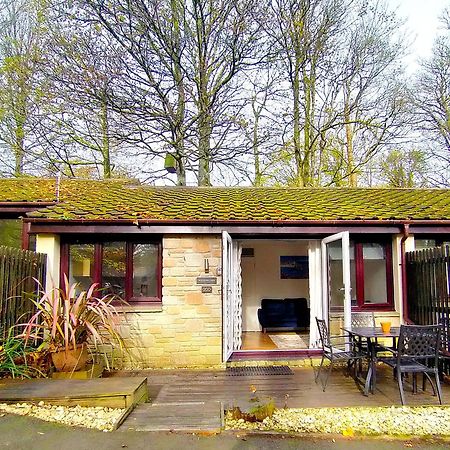 Woodland View - Families & Pets Villa Uny Lelant Exterior photo